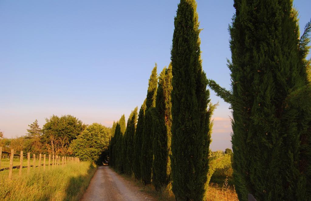 Il Colombaio, Siena -Appartamenti E Camere- Isola d'Arbia ภายนอก รูปภาพ