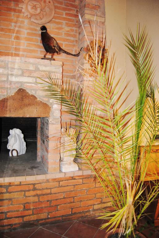 Il Colombaio, Siena -Appartamenti E Camere- Isola d'Arbia ภายนอก รูปภาพ